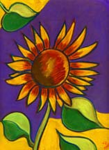 Pastel of a sunflower by artist Angela Young