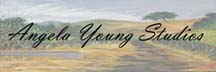 Angela Young Studios logo